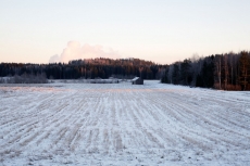 Talvinen pelto